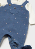 Pelele peto acolchado blueberry