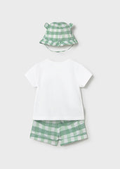 Conj. 3 piezas tortuga verde