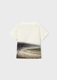 Camiseta m/c print posicionado monster trucks
