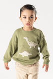 Sueter intarsia dinos laurel