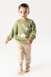 Sueter intarsia dinos laurel