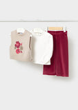 Conj. Pantalon chaleco tricot framboise